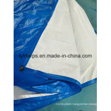 Poly Tarp Cover Tarpaulin Sheet